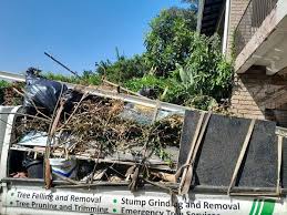 Best Dumpster Rental Services  in Elm City, NC